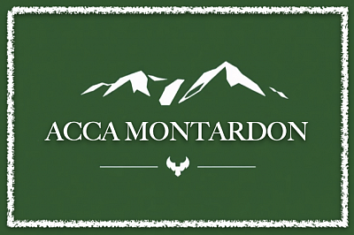 Logo ACCA
